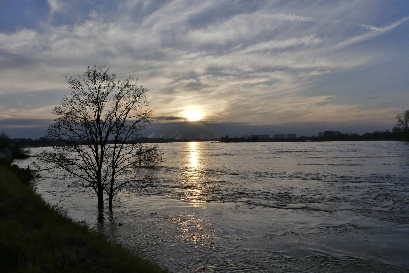 Hochwasser am Rhein