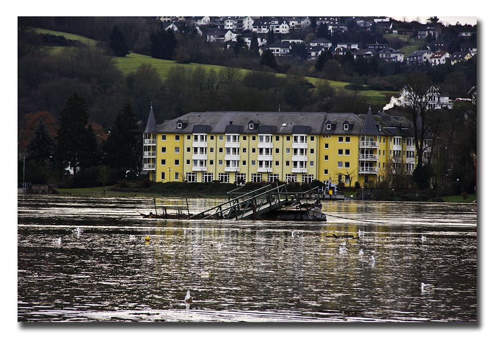 Hochwasser am Rhein