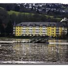 Hochwasser am Rhein