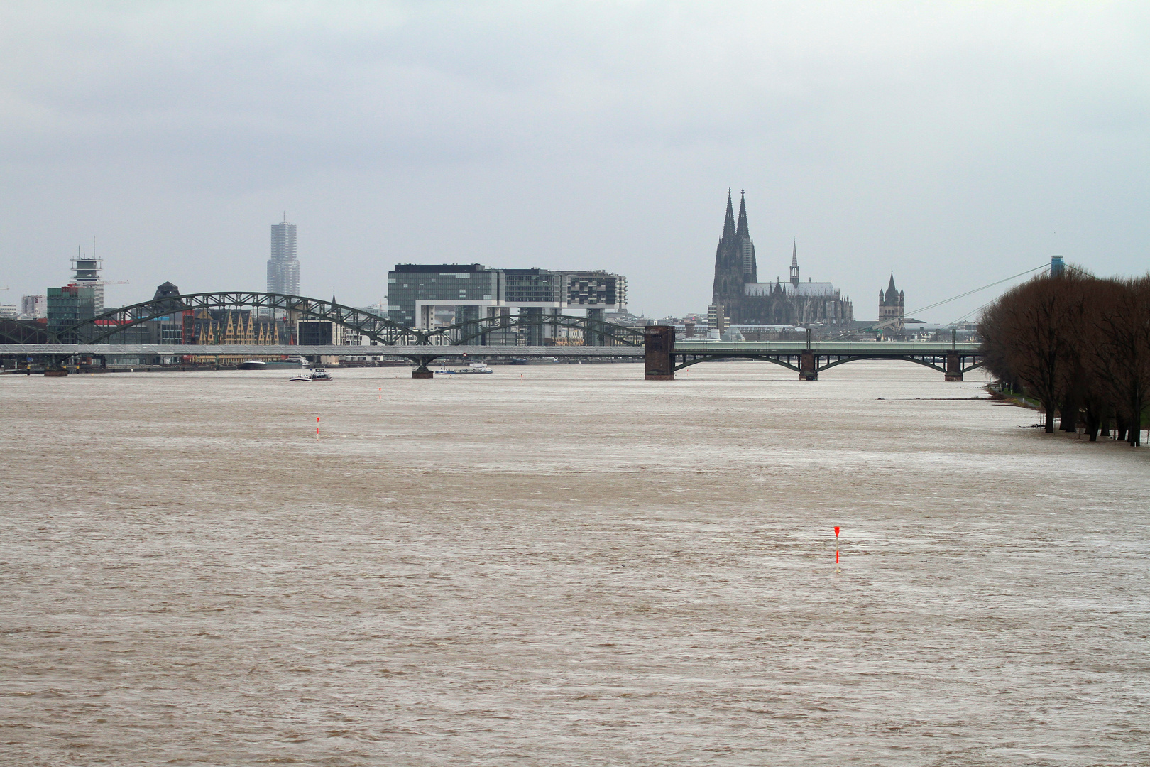 Hochwasser am Rhein