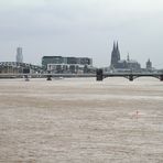 Hochwasser am Rhein