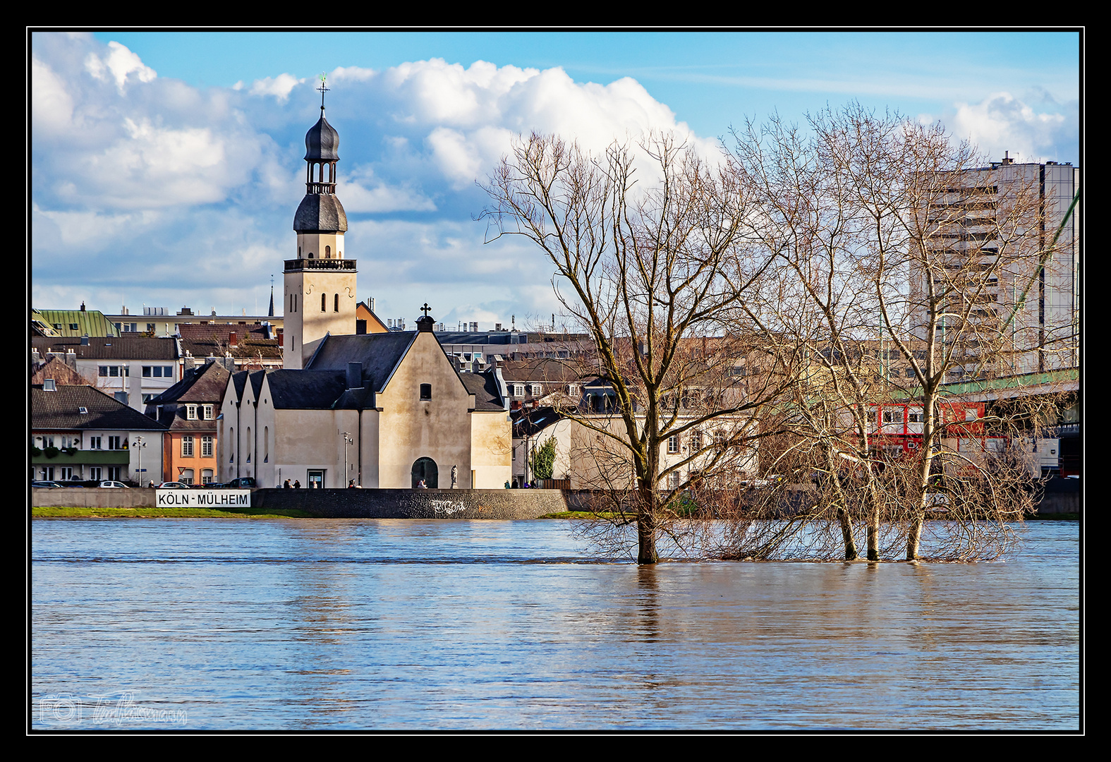 Hochwasser am Rhein #9