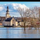 Hochwasser am Rhein #9