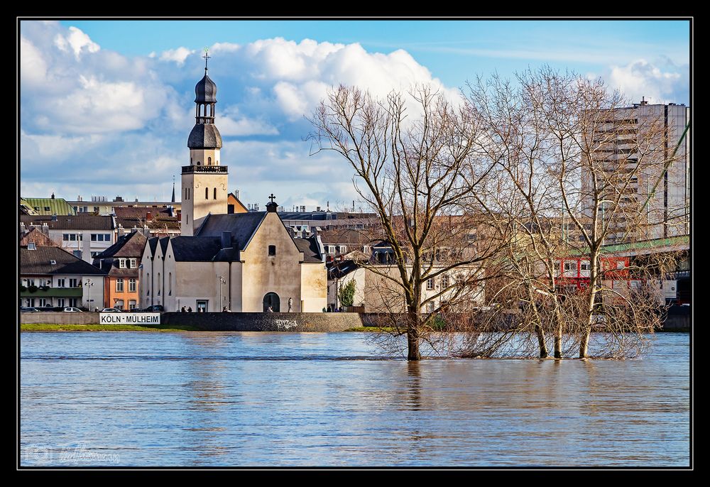 Hochwasser am Rhein #9