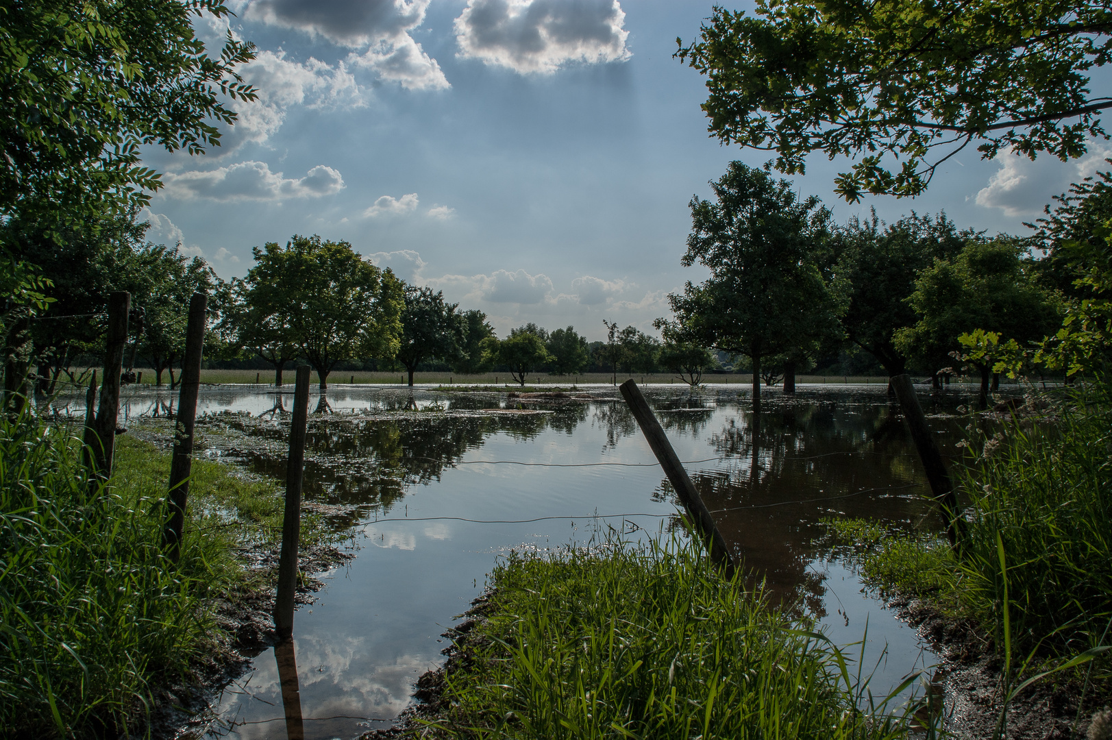 Hochwasser am Rhein