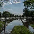 Hochwasser am Rhein