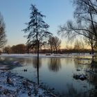 Hochwasser am Rhein