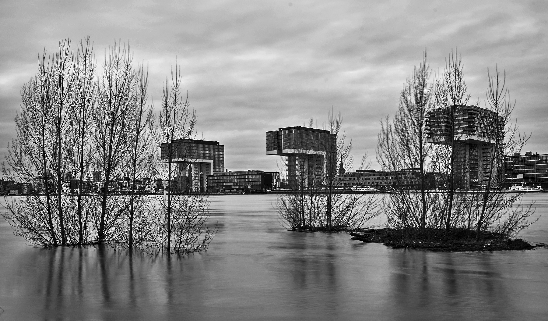 Hochwasser am Rhein