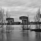 Hochwasser am Rhein