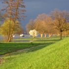 Hochwasser am Rhein