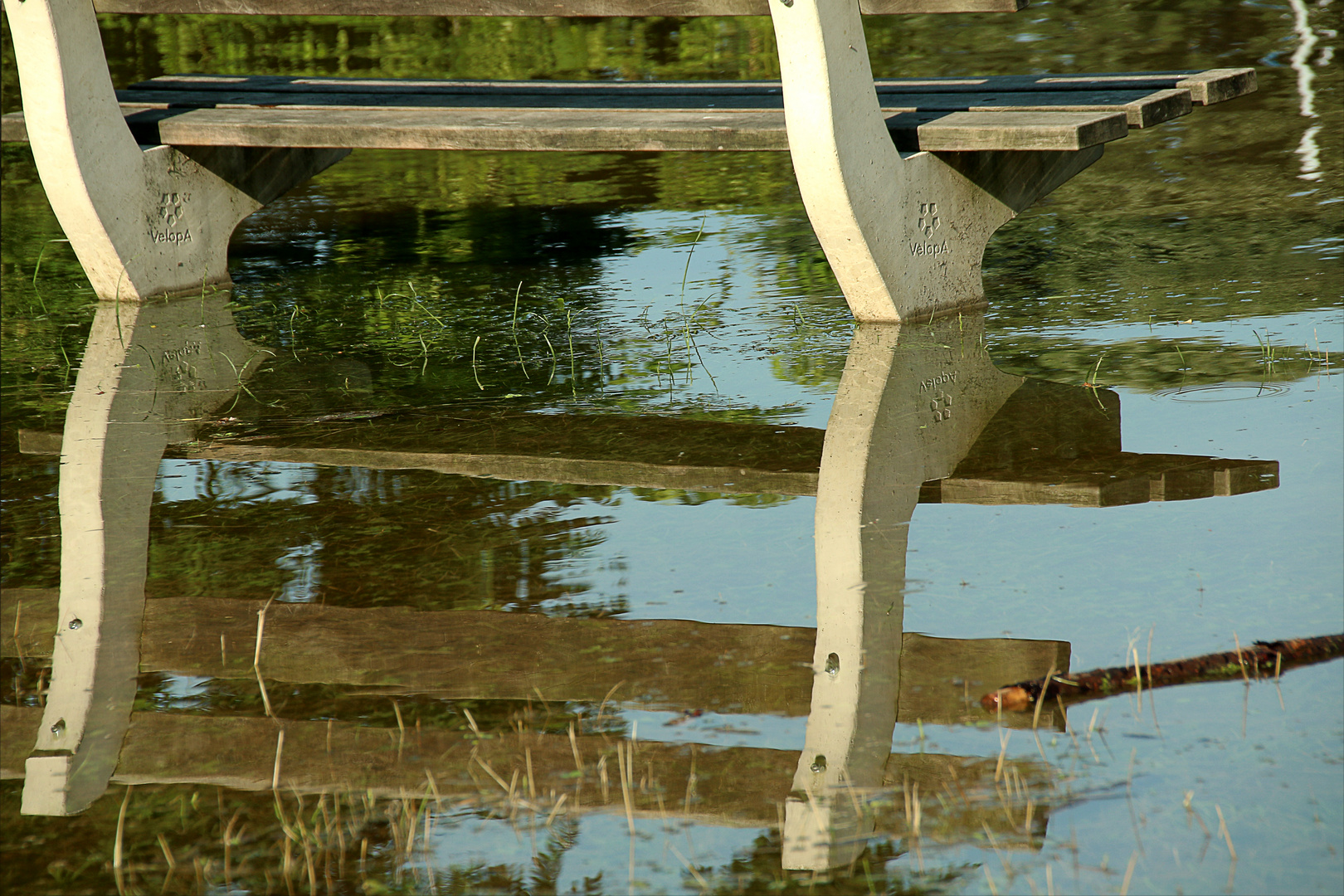 Hochwasser am Rhein