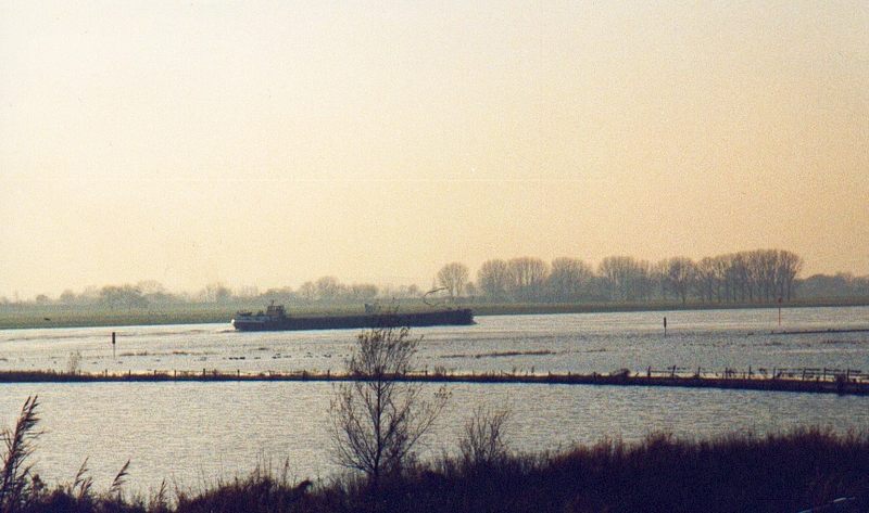 Hochwasser am Rhein