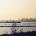 Hochwasser am Rhein