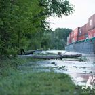 Hochwasser am Rhein bei Germersheim 07.05.2015 u. Schifffahrtverbot