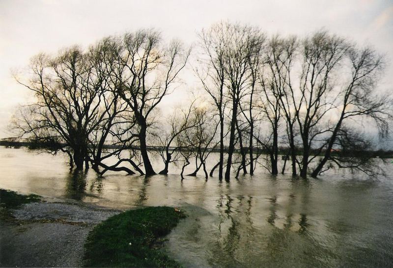 Hochwasser am Rhein bei Homberg