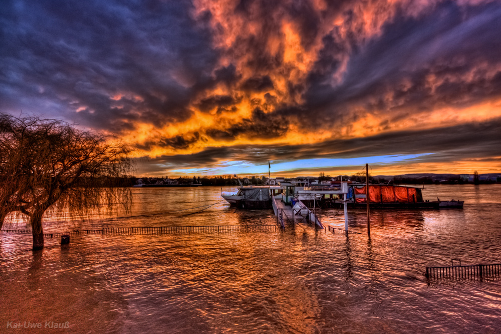 Hochwasser, am Rhein bei Neuwied, nach Weihnachten 2012