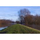 Hochwasser am Rhein