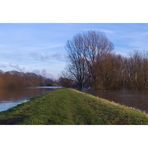 Hochwasser am Rhein