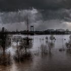 Hochwasser am Rhein