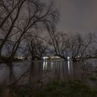 Hochwasser am Rhein