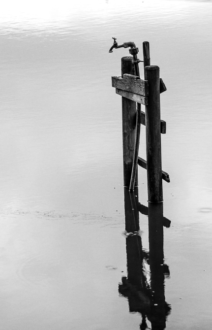 Hochwasser am Rhein