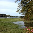 Hochwasser am Rhein