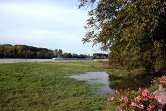 Hochwasser am Rhein