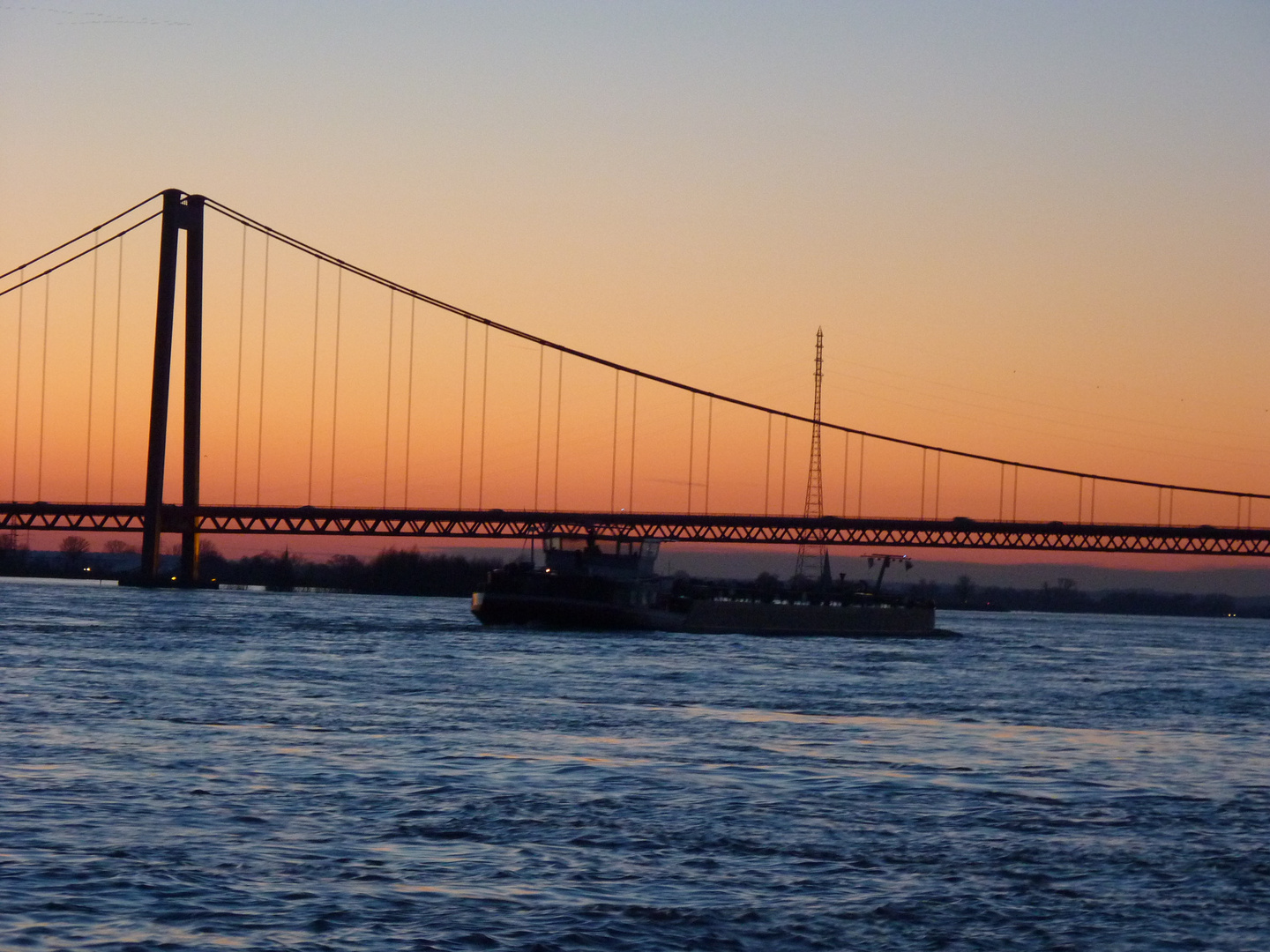 Hochwasser am Rhein