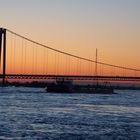 Hochwasser am Rhein