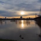 Hochwasser am Rhein