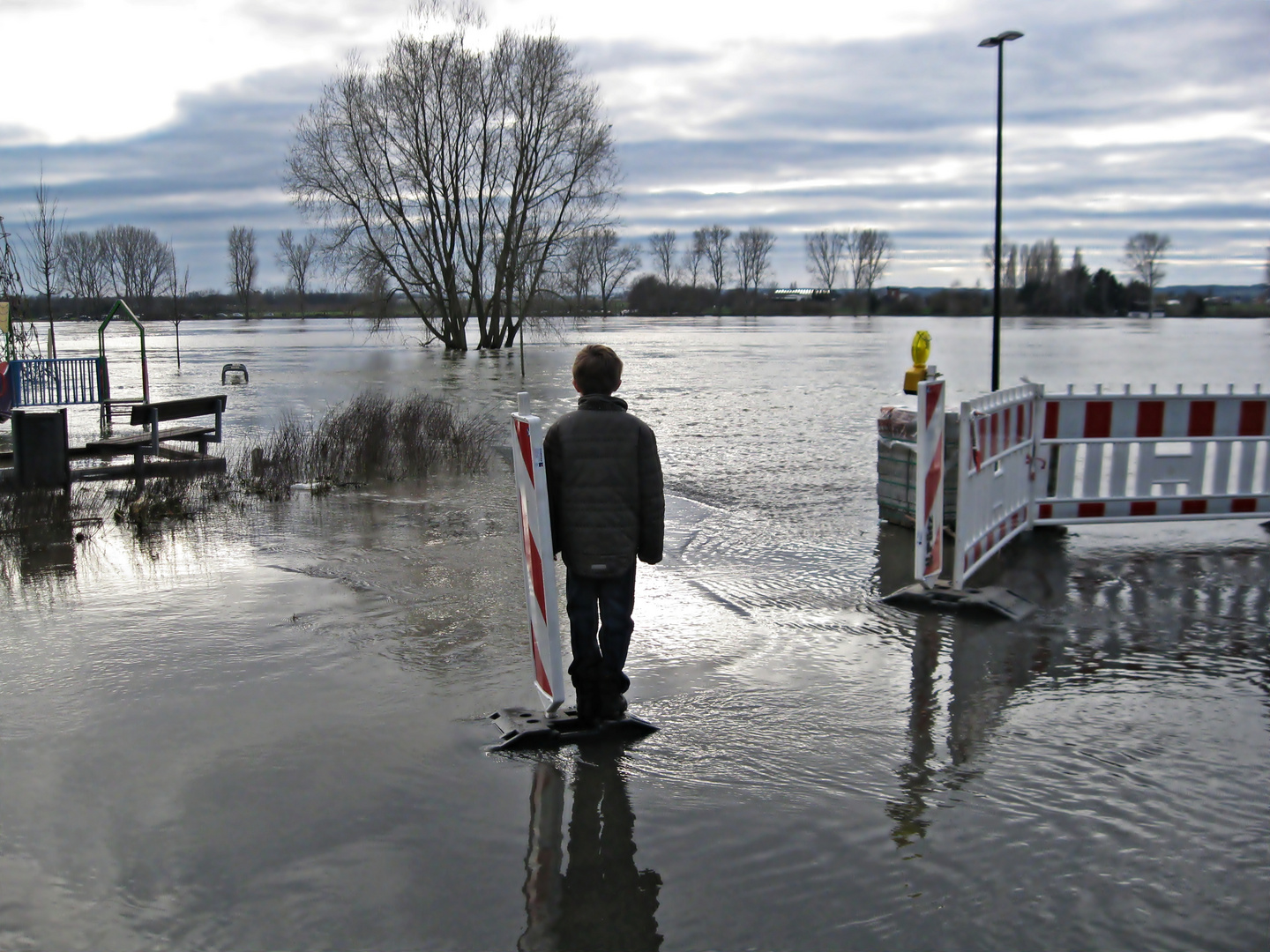 Hochwasser am Rhein