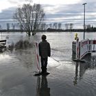 Hochwasser am Rhein