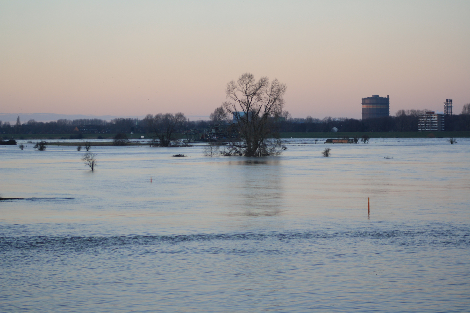 Hochwasser am Rhein