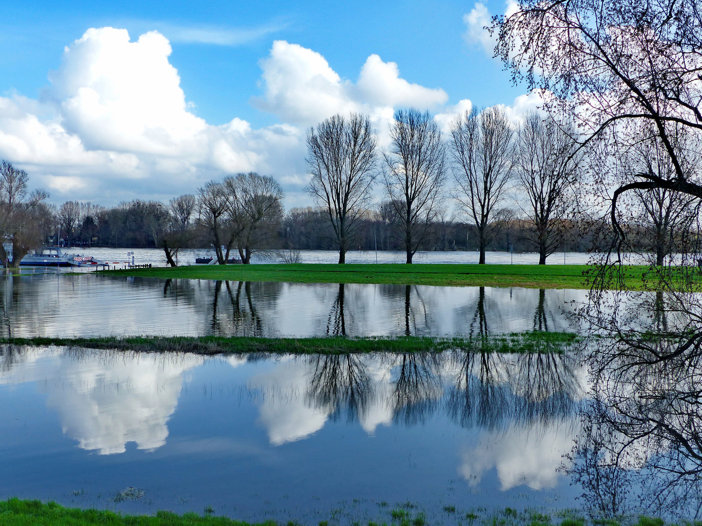  Hochwasser am Rhein