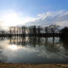 Hochwasser am Rhein