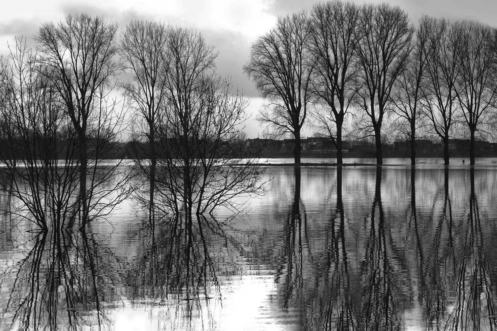 Hochwasser am Rhein II