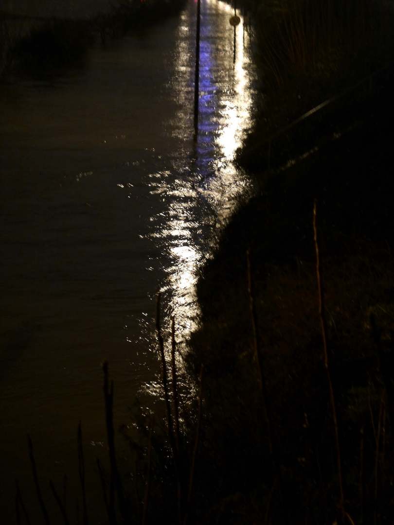Hochwasser am Rhein in Köln 1