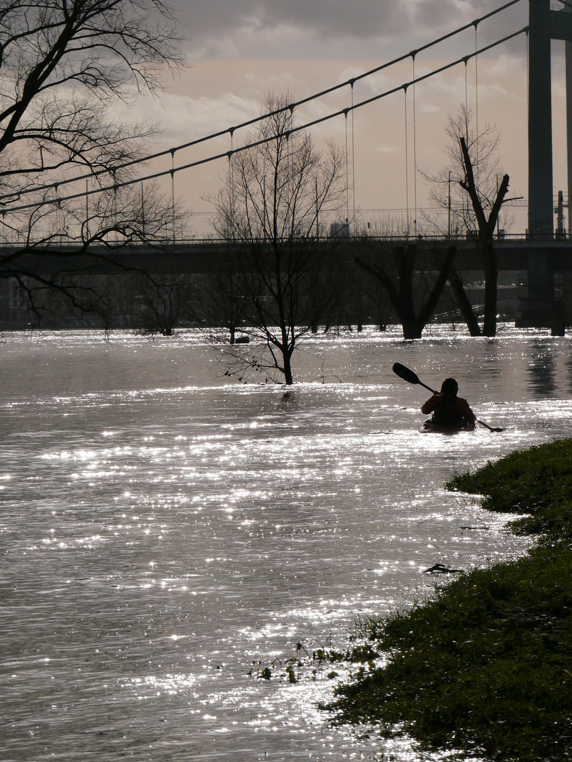 Hochwasser am Rhein in Köln 2