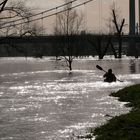 Hochwasser am Rhein in Köln 2