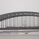 Hochwasser am Rhein in Köln 4