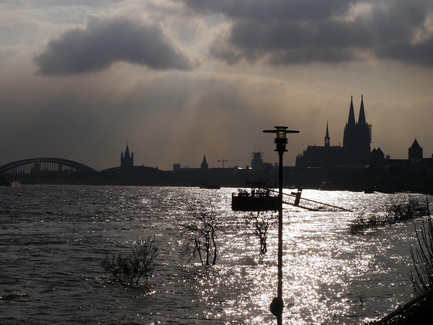 Hochwasser am Rhein in Köln 6