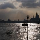 Hochwasser am Rhein in Köln 6