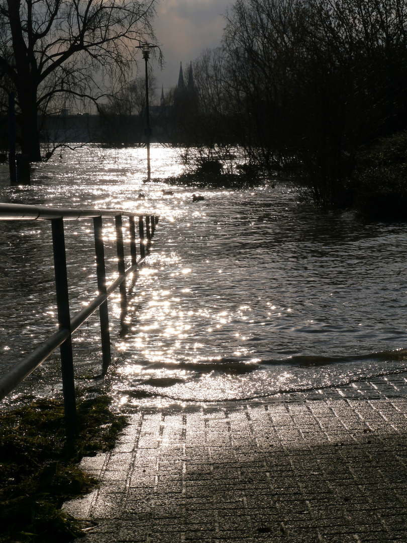 Hochwasser am Rhein in Köln 7