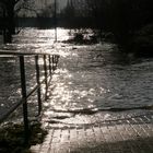 Hochwasser am Rhein in Köln 7