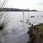 Hochwasser am Rhein in Leverkusen-Hintdorf