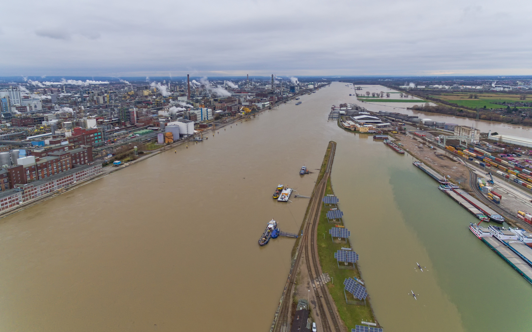 Hochwasser am Rhein in Mannheim