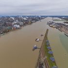 Hochwasser am Rhein in Mannheim