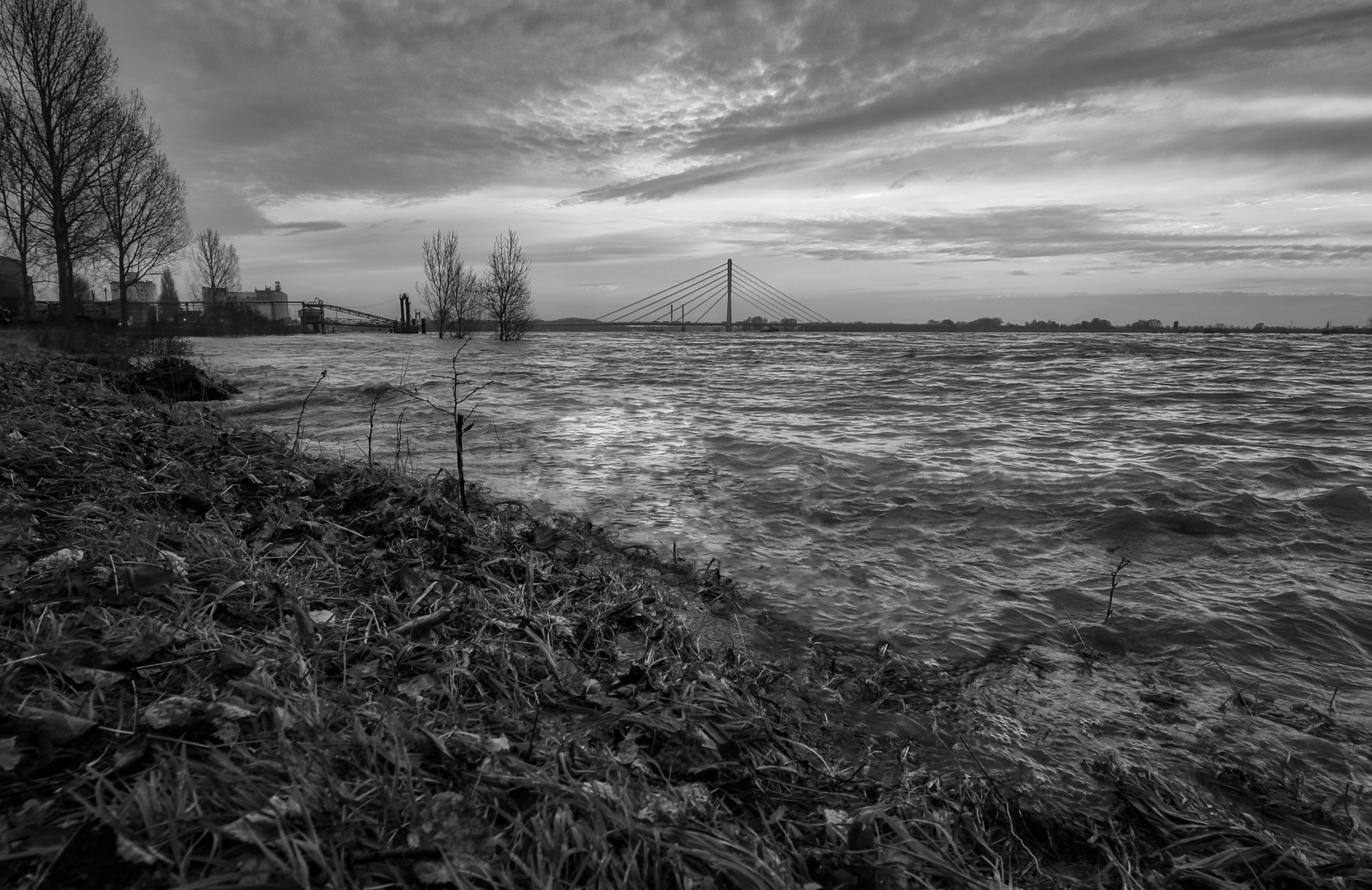 Hochwasser am Rhein in schwarz-weiß