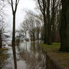 Hochwasser am Rhein in Wesel