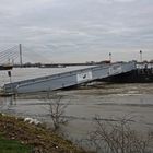 Hochwasser am Rhein in Wesel